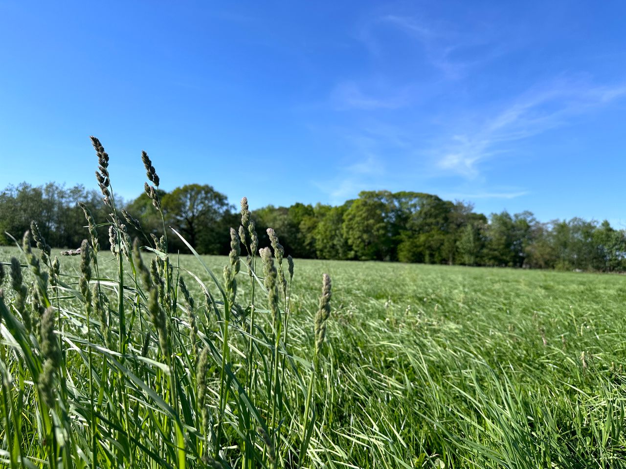image 03